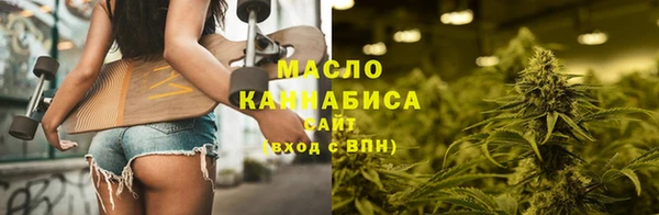мдпв Краснослободск