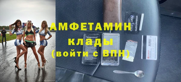 мдпв Краснослободск