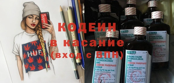 мдпв Краснослободск
