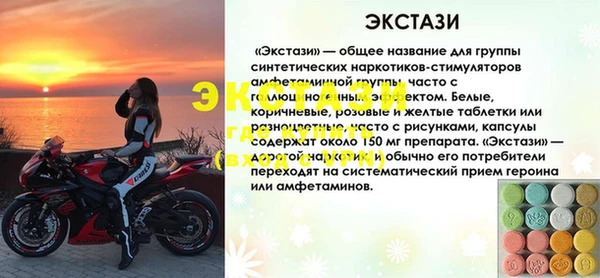 мдпв Краснослободск