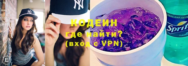 мдпв Краснослободск