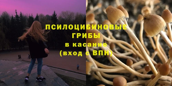 мдпв Краснослободск