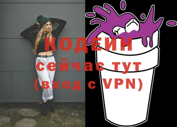 мдпв Краснослободск