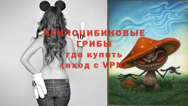 мдпв Краснослободск