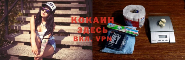 мдпв Краснослободск