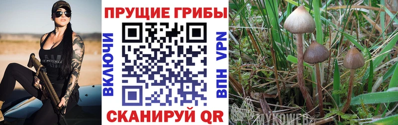 Псилоцибиновые грибы прущие грибы Троицк