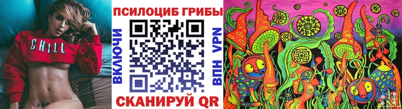Галлюциногенные грибы MAGIC MUSHROOMS  MEGA маркетплейс  Троицк 