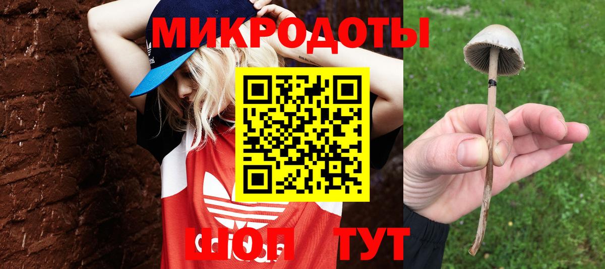 Псилоцибиновые грибы прущие грибы  Вход с VPN  Троицк 